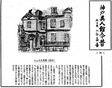 �V���G�P���@