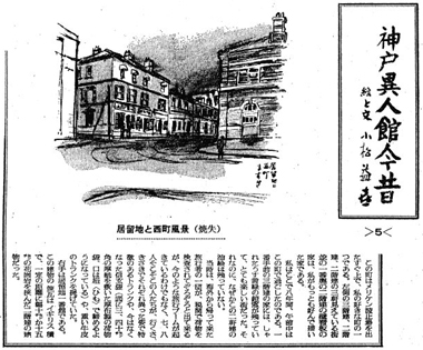 �����n�Ɛ������i