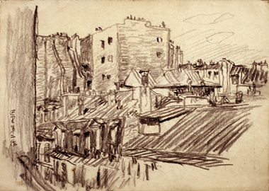 �����p���i�X