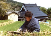 �Ö��Ƃ��ʐ�